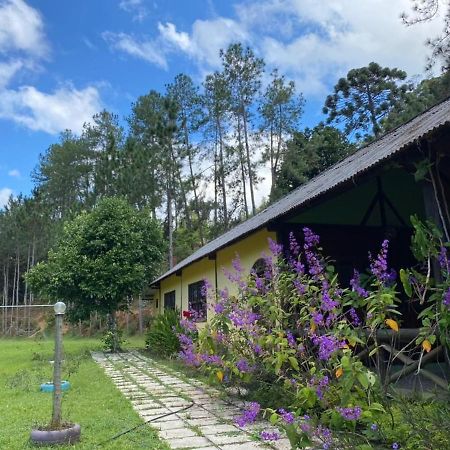 Sitio Cachoeirinha - Araguaia 마르샬 플로리아노 외부 사진
