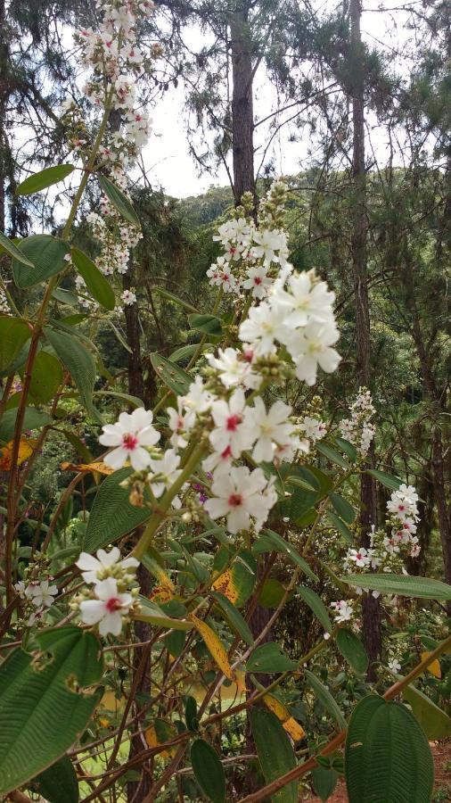 Sitio Cachoeirinha - Araguaia 마르샬 플로리아노 외부 사진